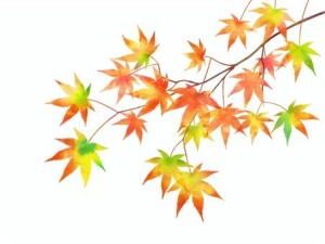 紅葉狩り